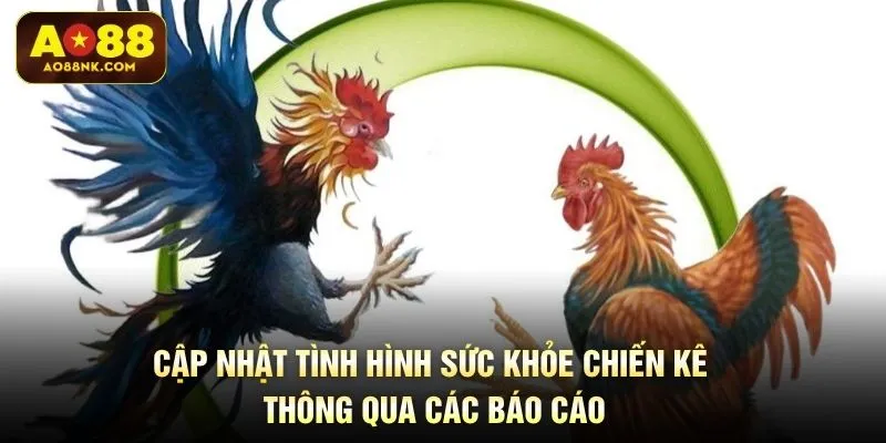 Cập nhật tình hình sức khỏe chiến kê thông qua các báo cáo
