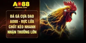 Đá Gà Cựa Dao AO88 - Rực Lửa Chốt Kèo Nhanh Nhận Thưởng Lớn