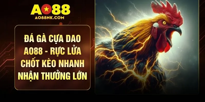 Đá Gà Cựa Dao AO88 - Rực Lửa Chốt Kèo Nhanh Nhận Thưởng Lớn