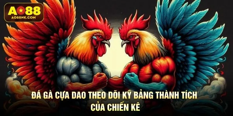 Đá gà cựa dao theo dõi kỹ bảng thành tích của chiến kê