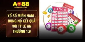 Xổ Số Miền Nam - Bùng Nổ Kết Quả Với Tỷ Lệ Ăn Thưởng 1:9